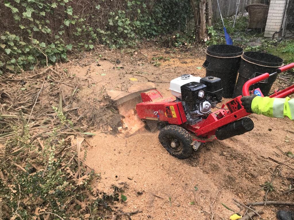 stump removal and grinding